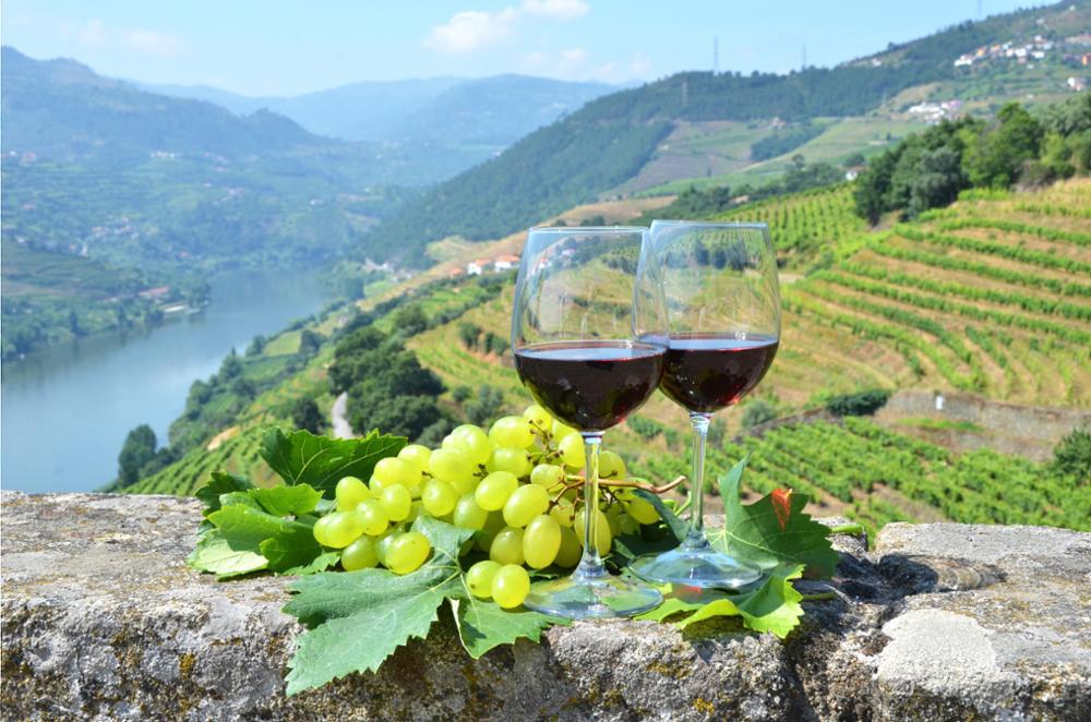 Vins de Alentejo - Vins Portugais | Terrassol